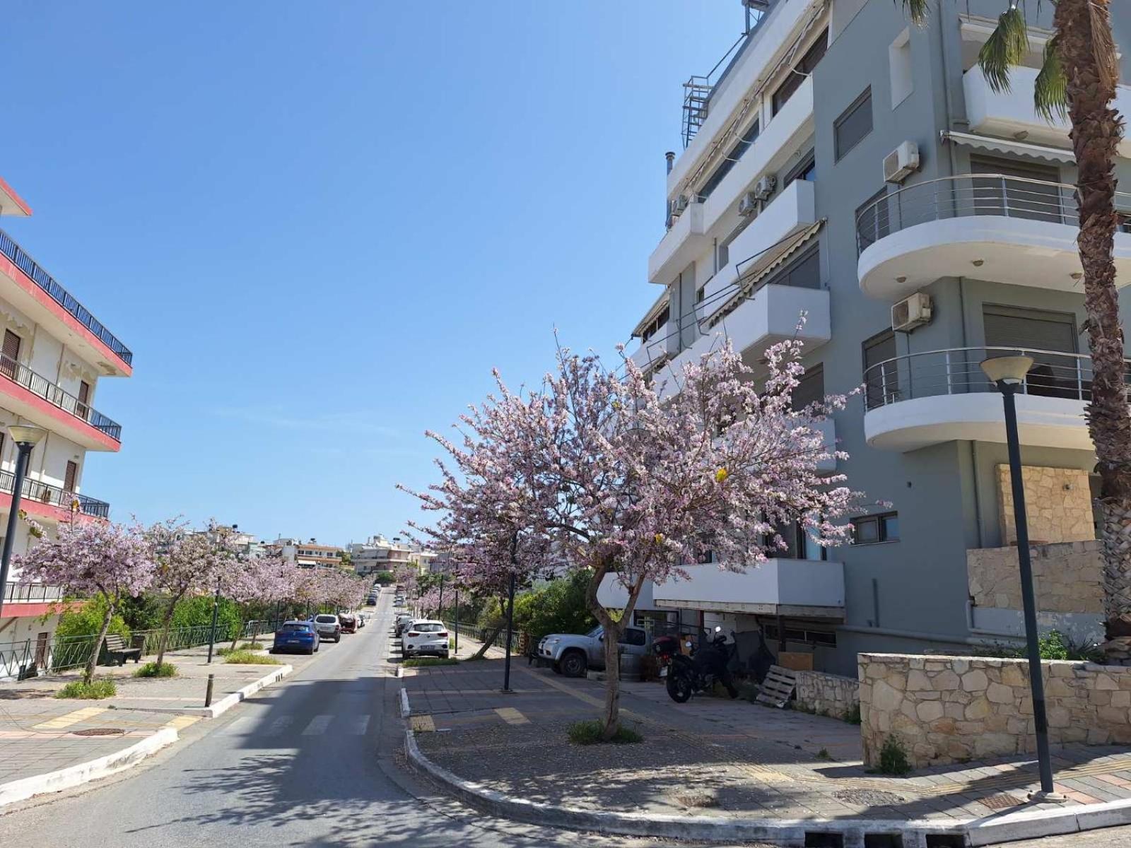 Iriana'S Apartments In Center Chania  ภายนอก รูปภาพ